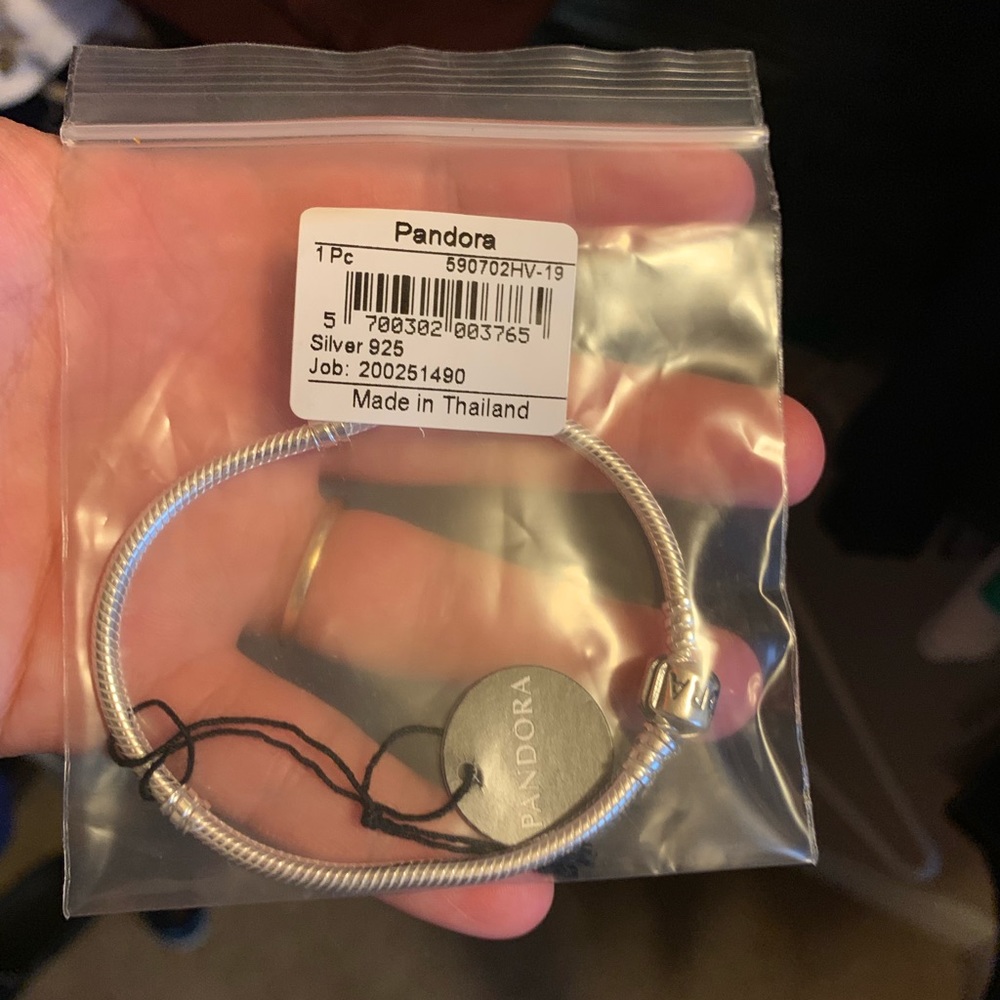 Pandora charm bracelet